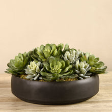 Load image into Gallery viewer, Charcoal Succulent Arrangement in Bowl
