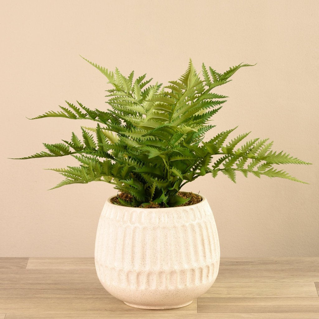 Ivory Potted Fern – TA Lorton