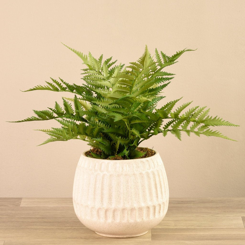 Ivory Potted Fern