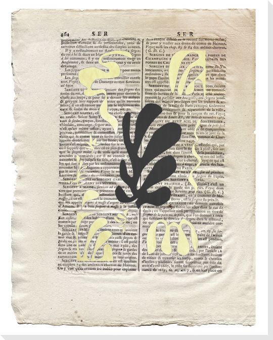 Paper Art Series