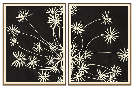 Sedum  Art Series