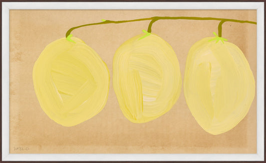 Loquat