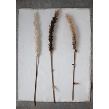 Load image into Gallery viewer, 42&quot;H Faux Flocked Grass Plume
