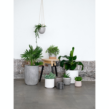 Load image into Gallery viewer, Stoneware Fluted Planter
