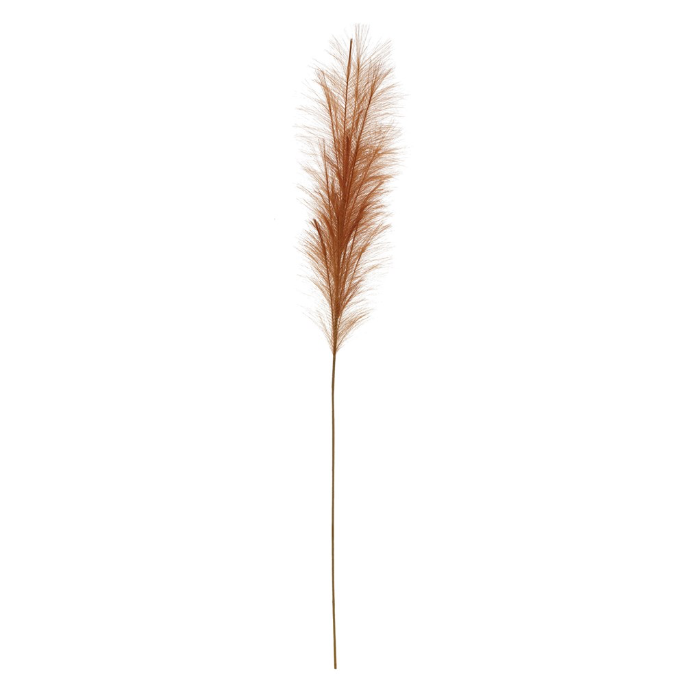 Pampas Grass