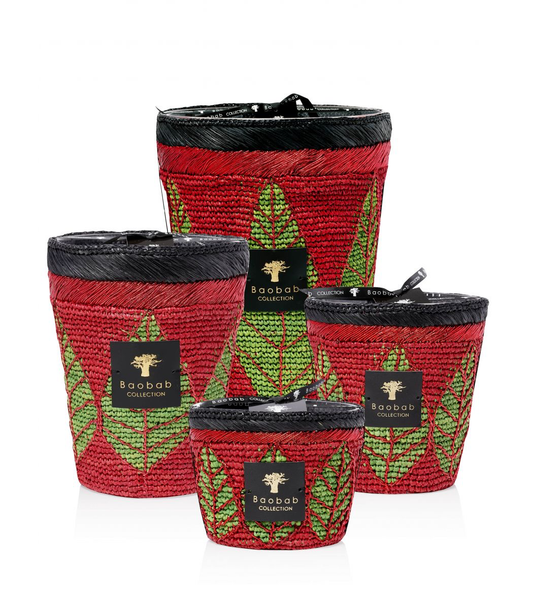Baobab Hazo Noely