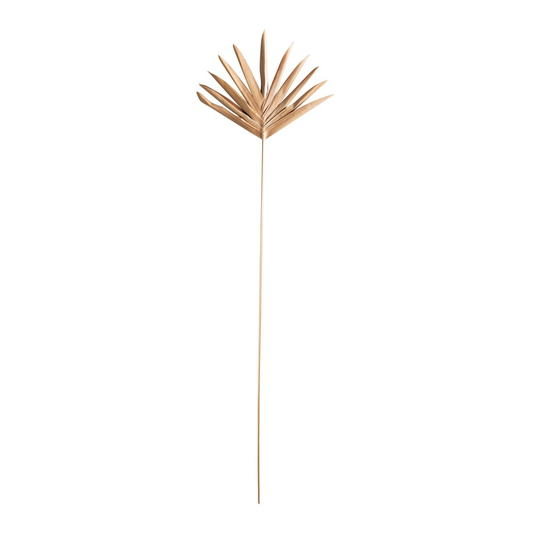 36"H Handmade Dried Buri Palm Lady Finger Pick