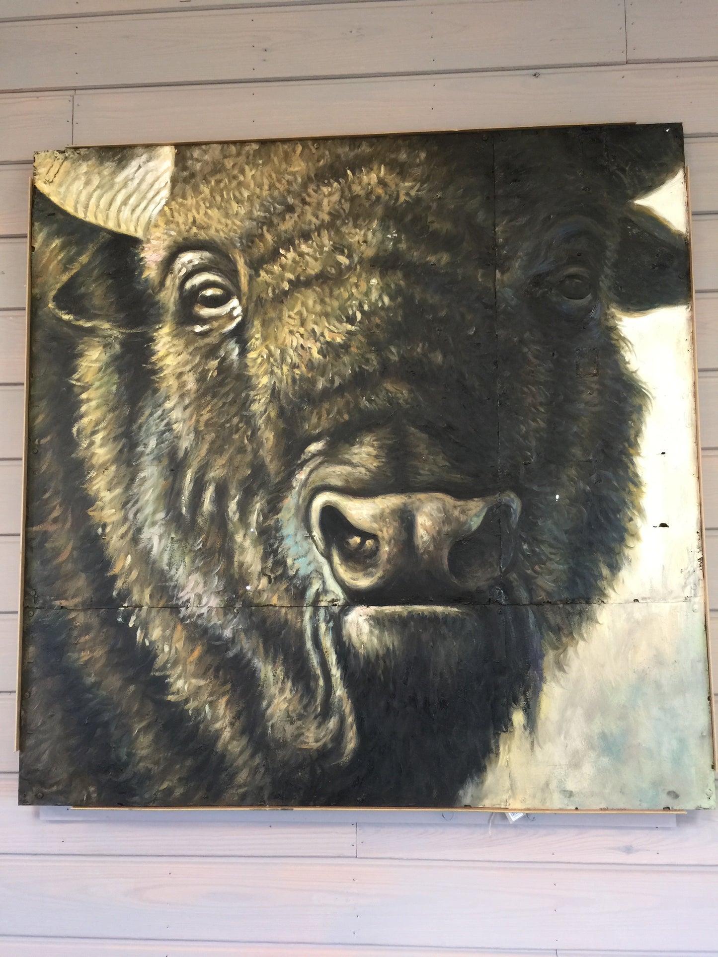 Buffalo