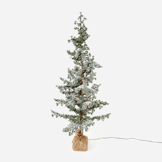 Lighted Display Pine Tree