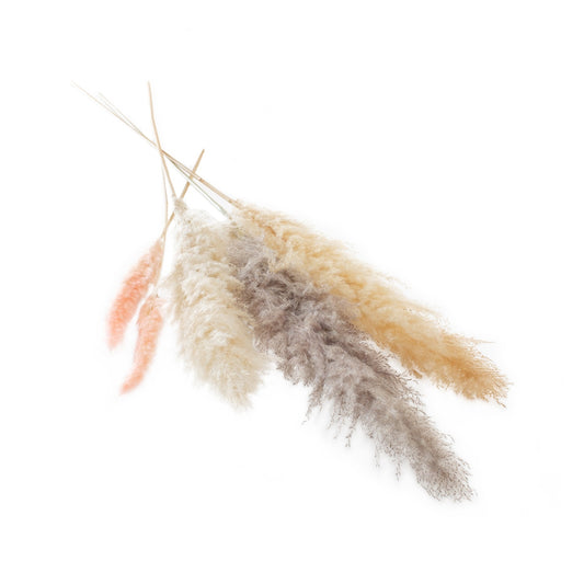 Dried Pampas Grass