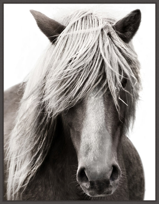 Fabled Stallion