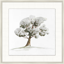 Load image into Gallery viewer, Park Tree Art Series
